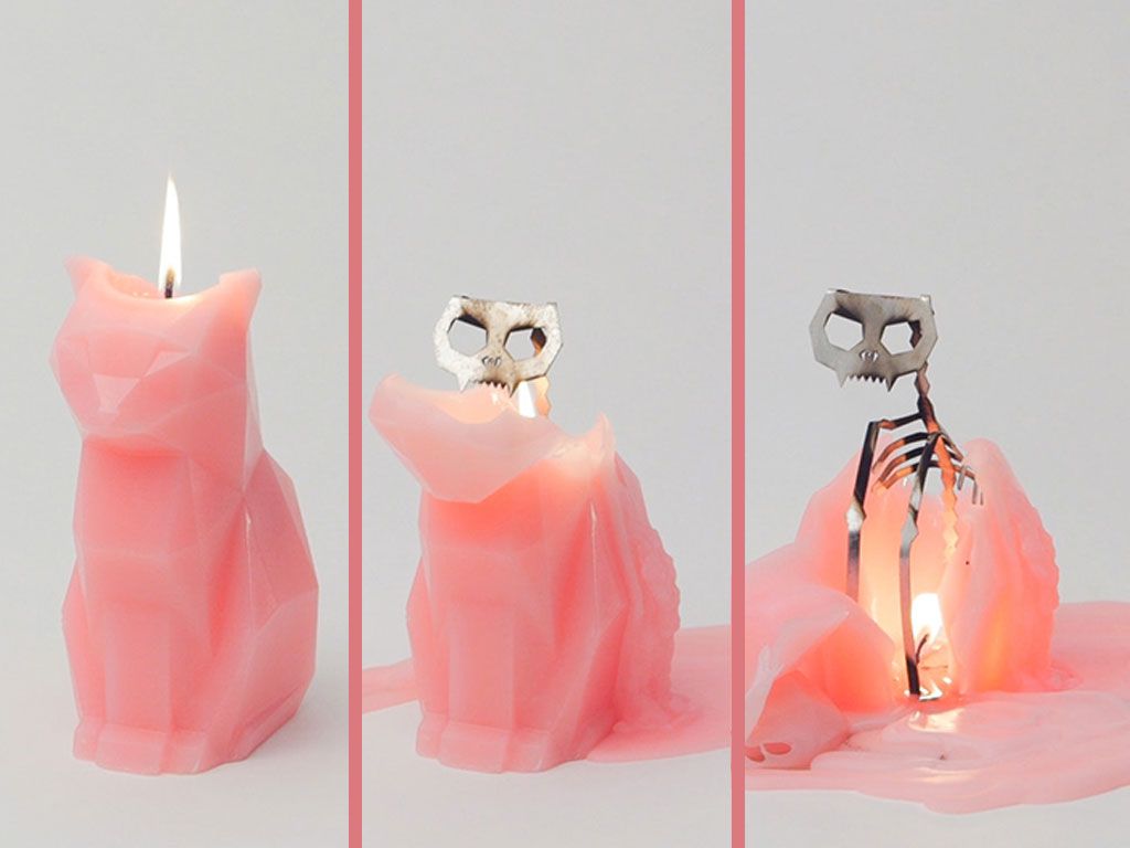 Ces bougies révèlent le squelette de leur animal quand el - ElleAdore