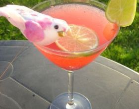 Cocktail raspberry